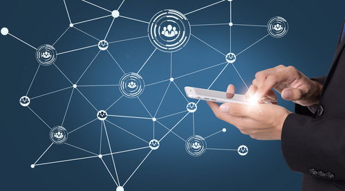 软件技术开发的整体流程图设计与实践